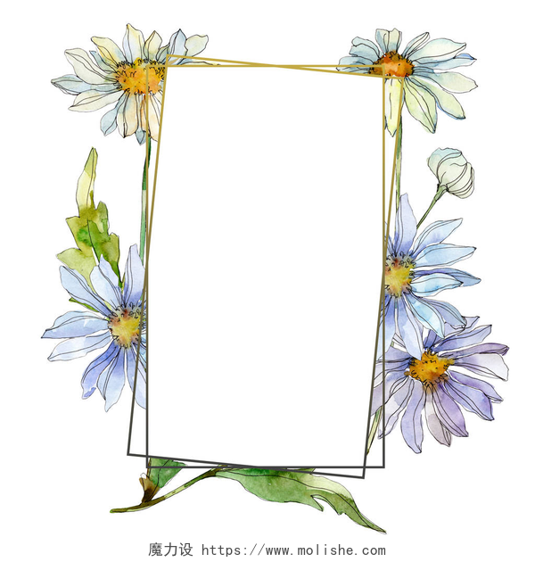 白色背景墙前用花朵围绕成的白色相框雏菊与绿叶水彩插画集, 框架边界装饰与复制空间